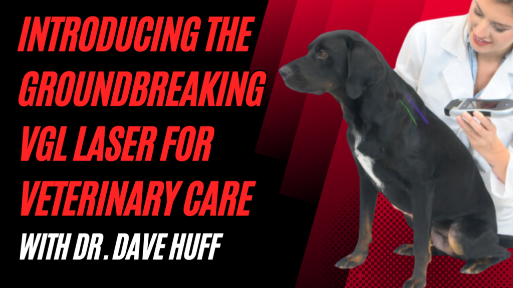 Introducing the VGL Laser for Veterinary Care | Dr. Dave Huff
