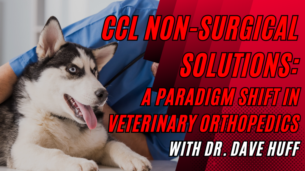 CCL Non-Surgical Solutions: A Paradigm Shift in Veterinary Orthopedics