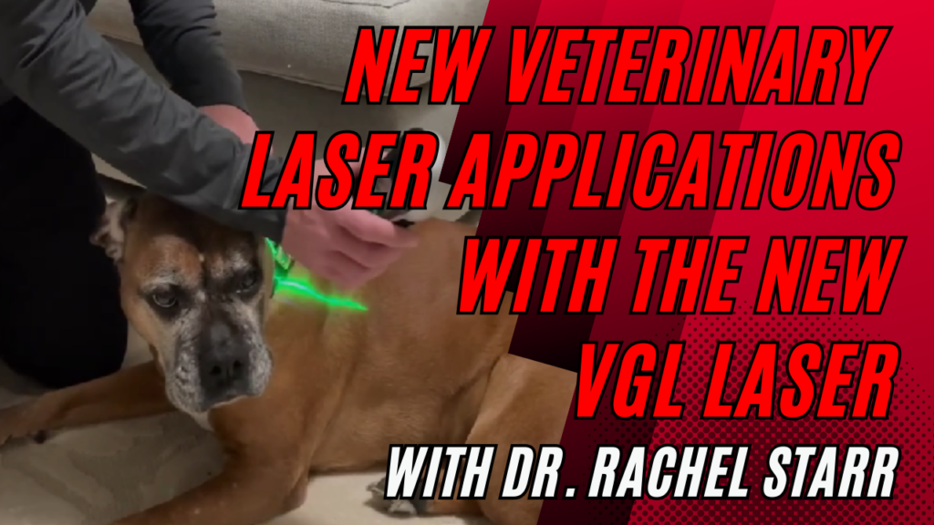 New Laser Applications with the VGL Laser with Dr. Rachel Starr, DVM