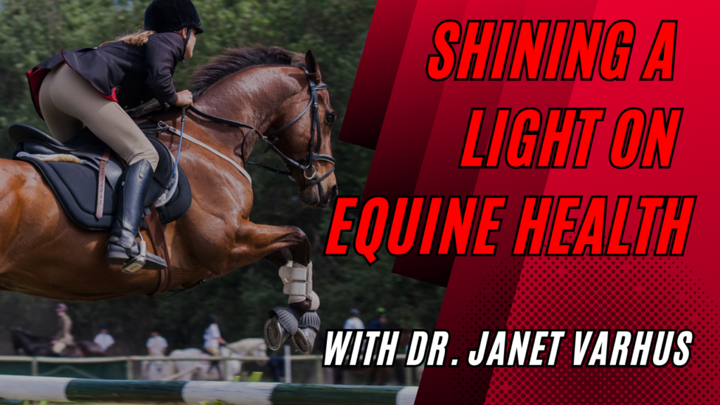 Shining a Light on Equine Health with Dr. Janet Varhus