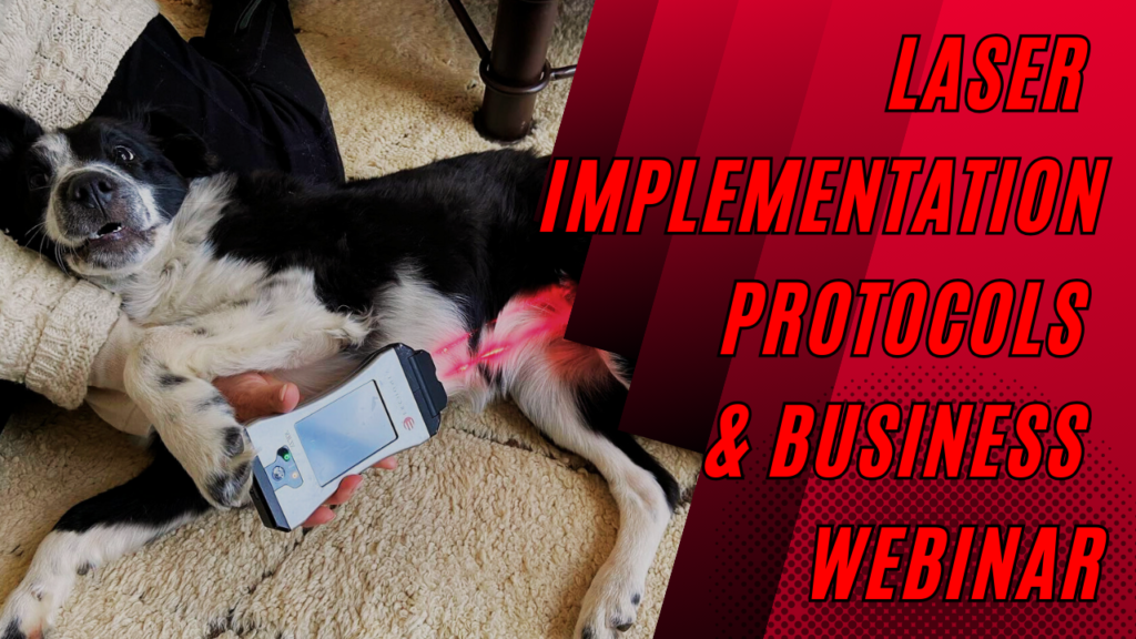 Laser Implementation Protocols & Business Webinar