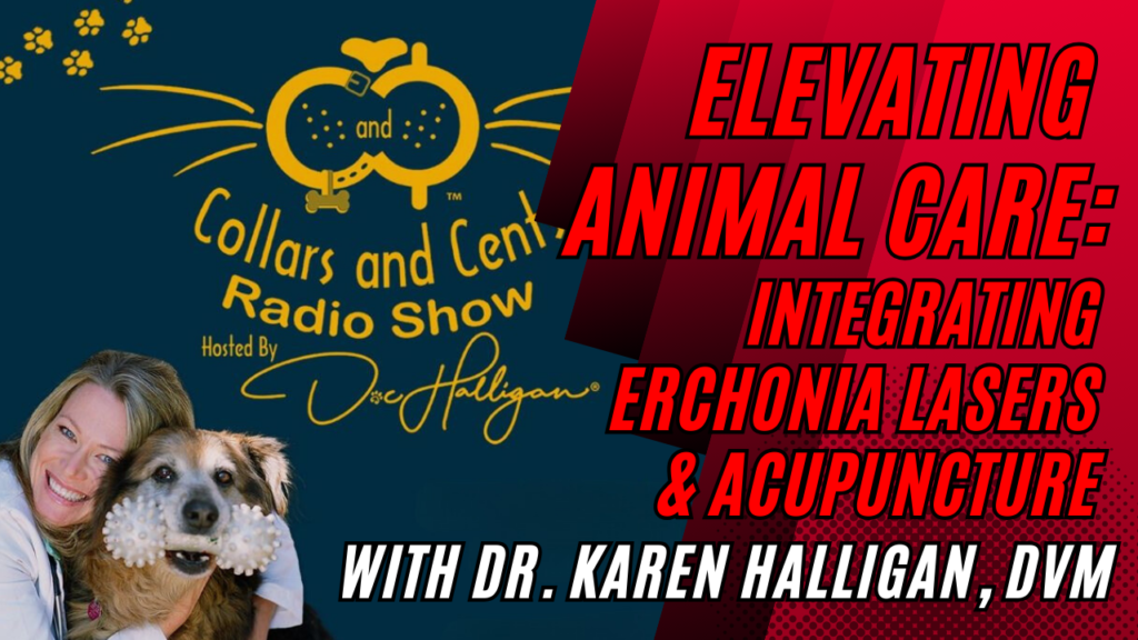 Elevating Animal Care:  Integrating Erchonia Lasers & Acupuncture with Dr. Karen Halligan, DVM