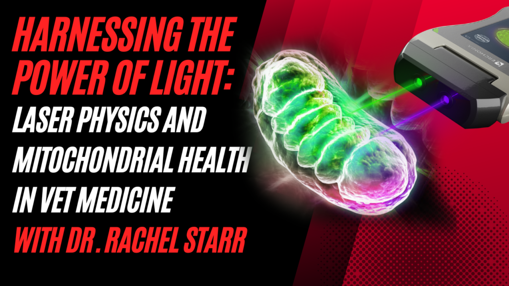 Harnessing the Power of Light: Laser Physics and Mitochondrial Health in Veterinary Medicine with Dr. Rachel Starr, DVM