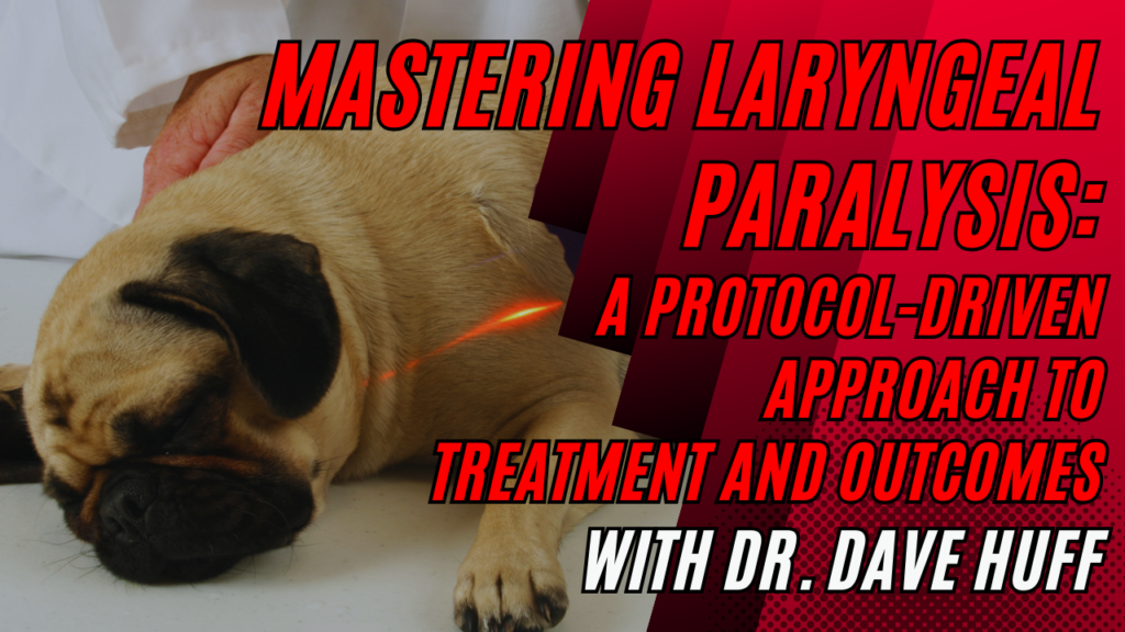 Mastering Laryngeal Paralysis: A Protocol-Driven Approach to Treatment and Outcomes with Dr. Dave Huff