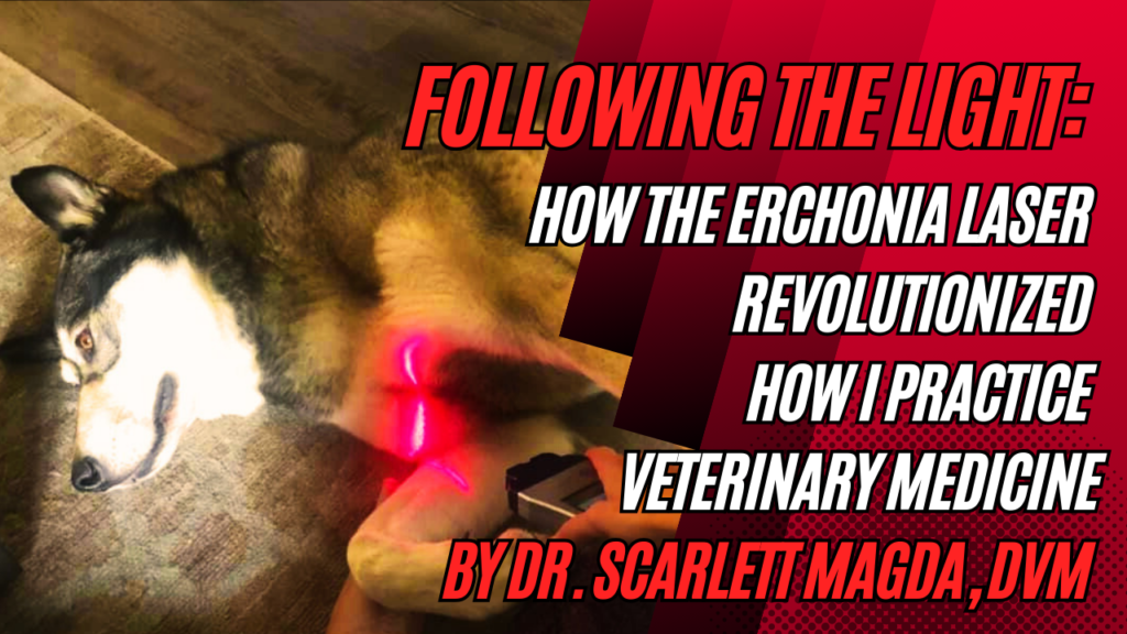 Following the Light: How the Erchonia Laser Revolutionized How I Practice Veterinary Medicine by Dr. Scarlett Magda, DVM