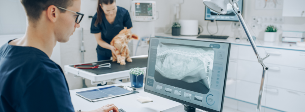 Launching a New Veterinary Clinic: Essentials and Innovative Equipment for Success